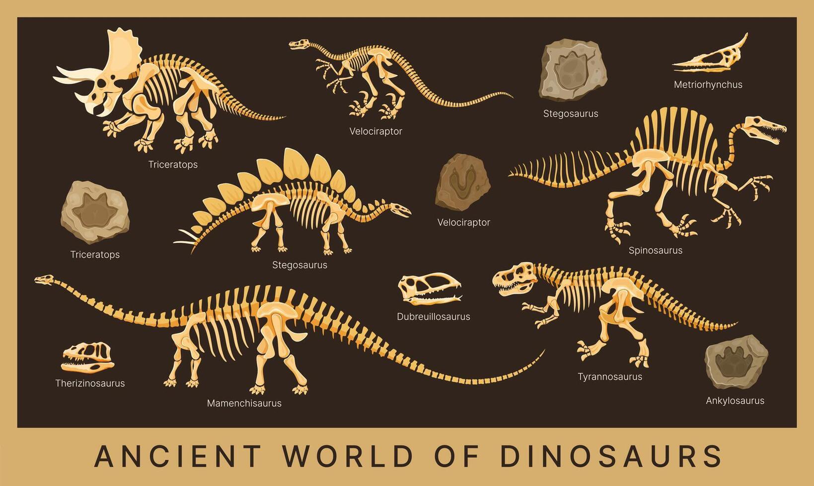 Dino museum poster with dinosaur fossils vector