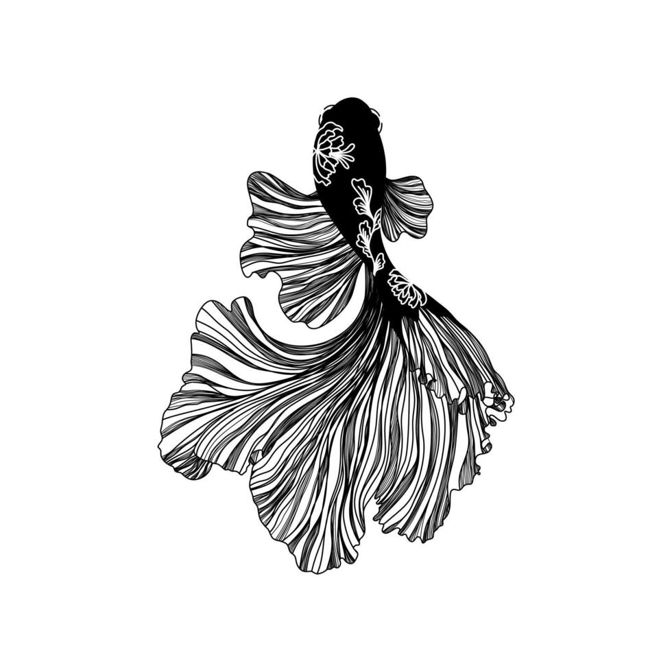 Betta Fish, Siamese Fighting Fish. vector