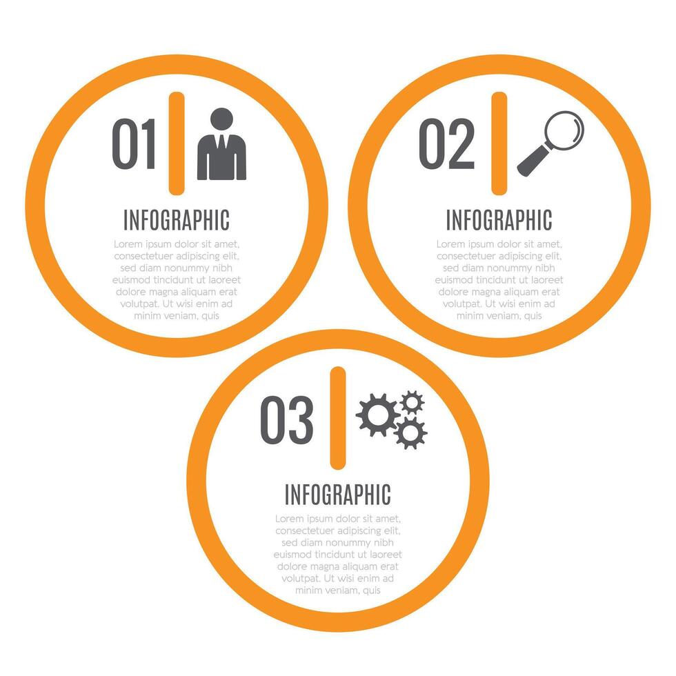 Presentation 3 step template infographic business chart list design vector