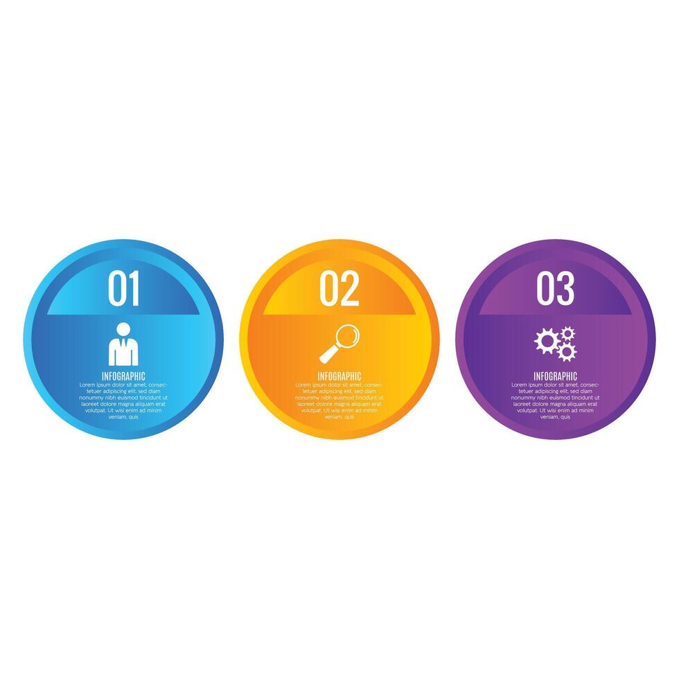 Infographic circle chart list 3 step editable presentation template design vector