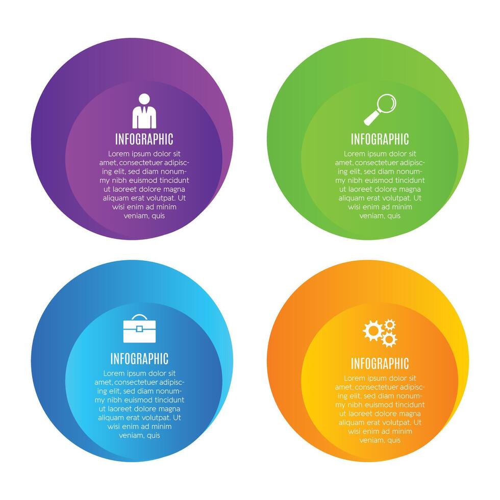 Circle infographic template 4 step modern editable chart list designed vector