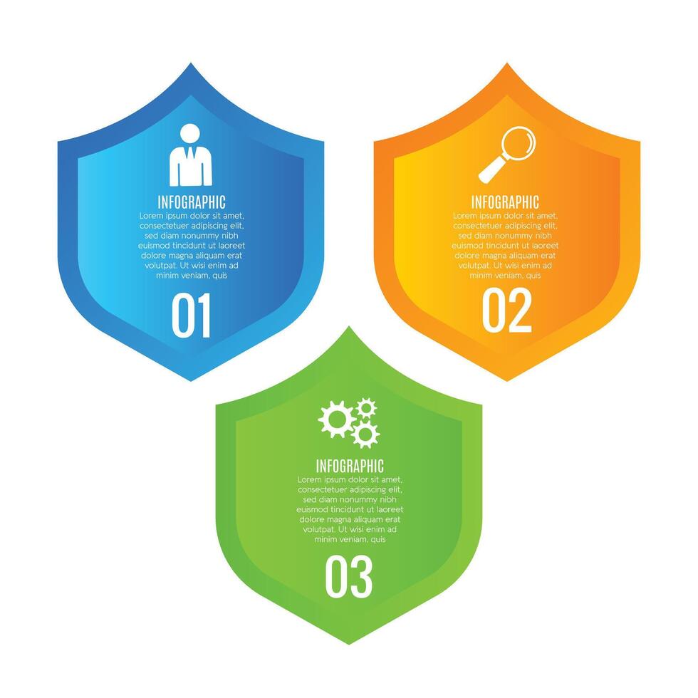 Shield infographic chart list 3 step or options business template design vector