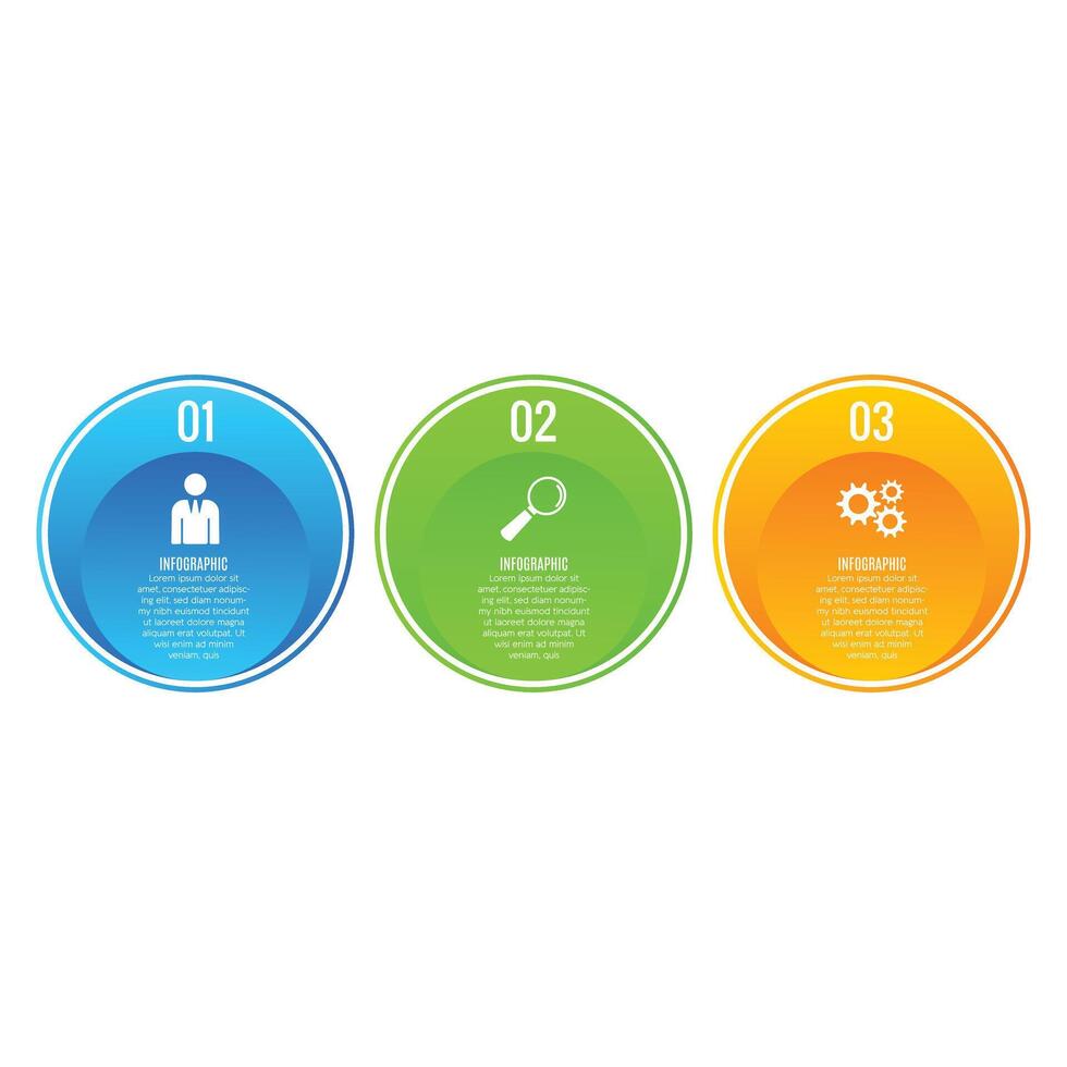 Business presentation infographic circle chart list 3 step template design vector