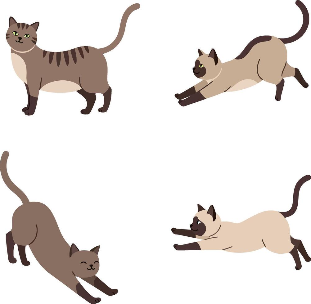 Four domestic cats in various poses with flat design style playful stretching art vector