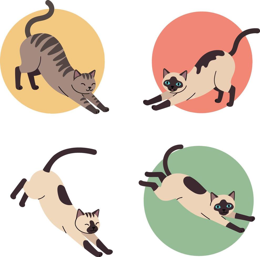 Four stretching cats in minimal flat design style with colorful circle backgrounds illustration vector