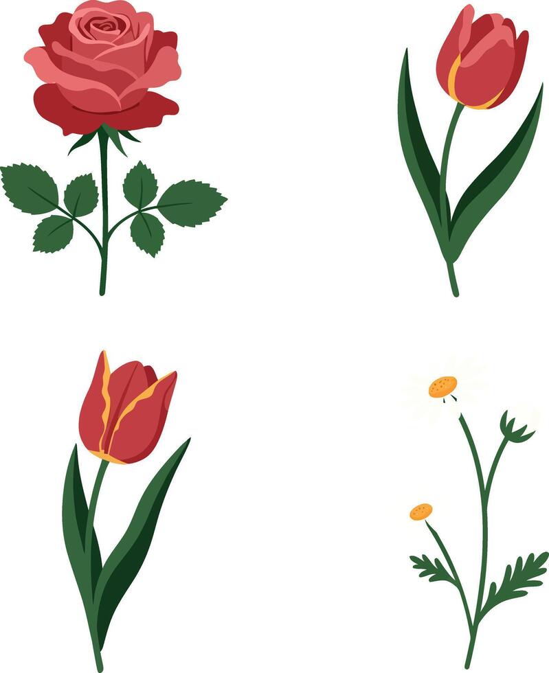 Red rose and tulip flowers with green leaves minimal flat botanical illustration vector