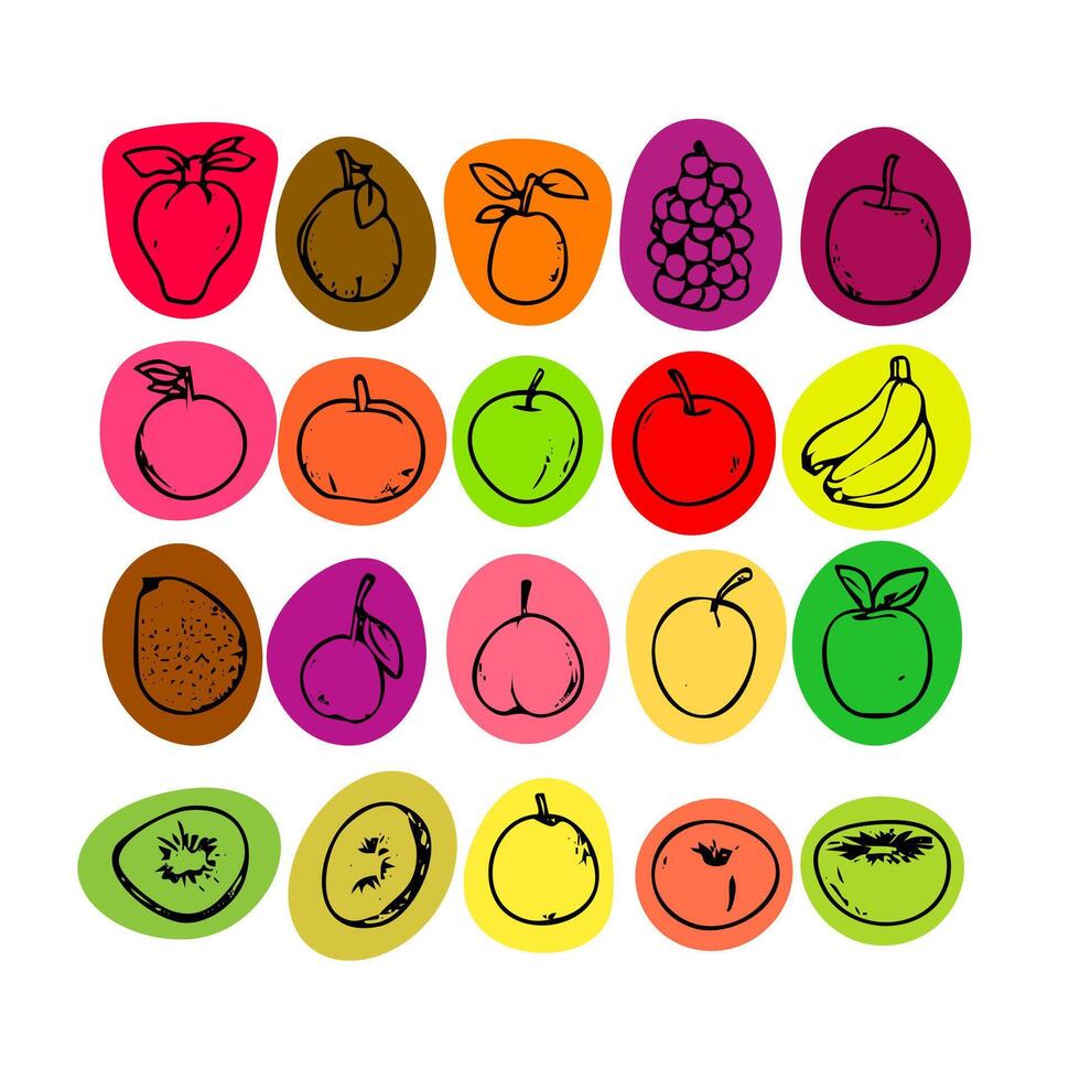 set of delicious bright summer fruits,minimalistic design vector