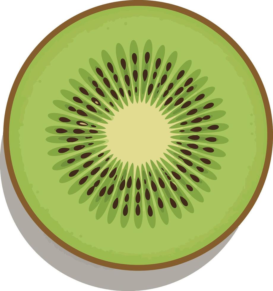 Sliced kiwi fruit with detailed seeds and green flesh in flat style illustration vector