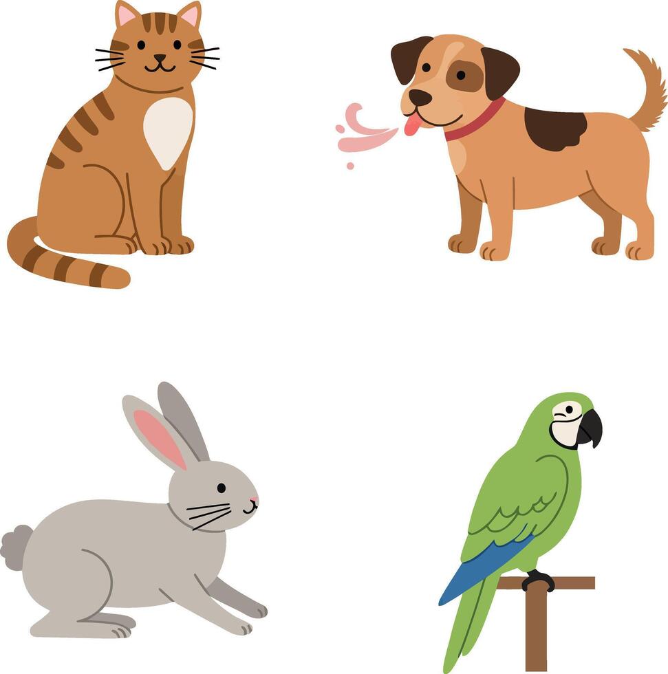 Cute domestic cat dog rabbit parrot sitting and standing flat style illustration vector