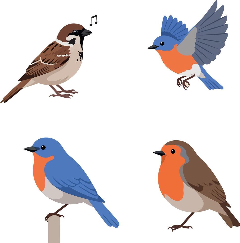 Colorful small songbirds perched and flying in flat style detailed illustration with natural poses and lively mood vector