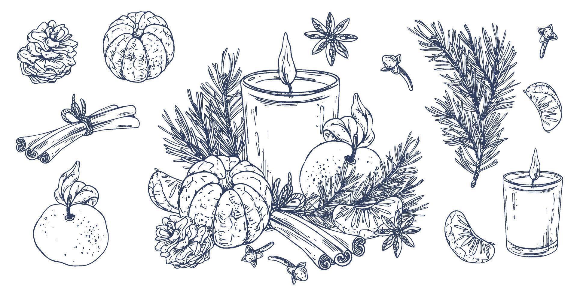 Christmas decor with tangerines, candle, sweets and pine branches. Graphic illustration hand drawn in black ink. A set of separate isolated elements of objects EPS . vector