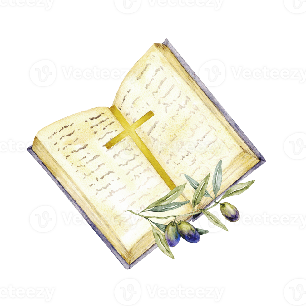 Open Bible, cross and olive branch. Watercolor illustration. For first communion, baptism greeting cards, invitation, wedding card, save the date and celebration, anniversary and birthday, party png