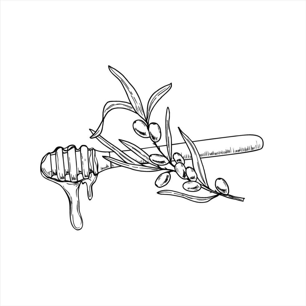 Honey wooden stick with syrup drip and sea buckthorn hand drawn isolated illustration. Natural healthy sweetness dripping from spoon and berries monochrome flat for packaging, culinary project vector