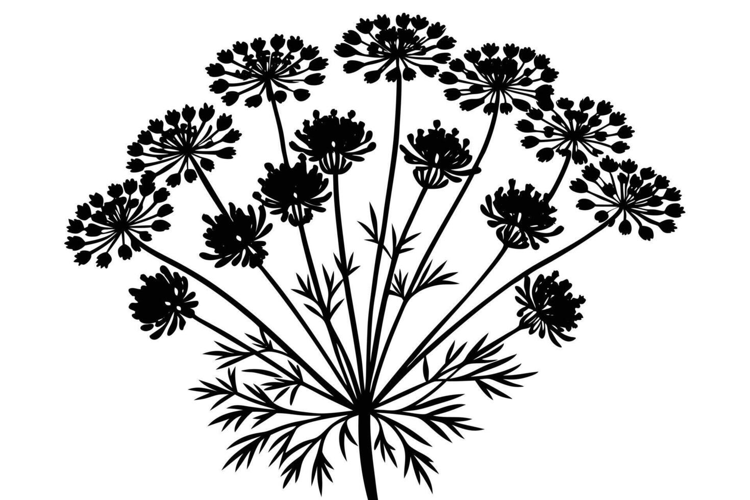 A black and White Silhouette of a Wildflower vector