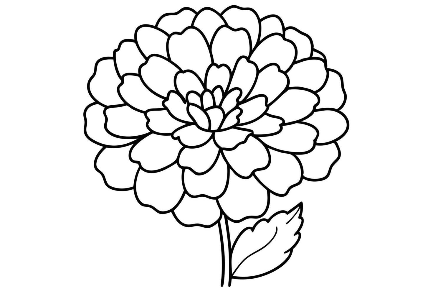 Elegant Black and White Line Art Zinnia Flower Design vector