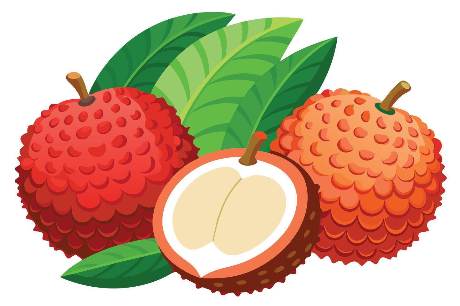 Three vibrant lychees with lush green leaves against a white background. vector