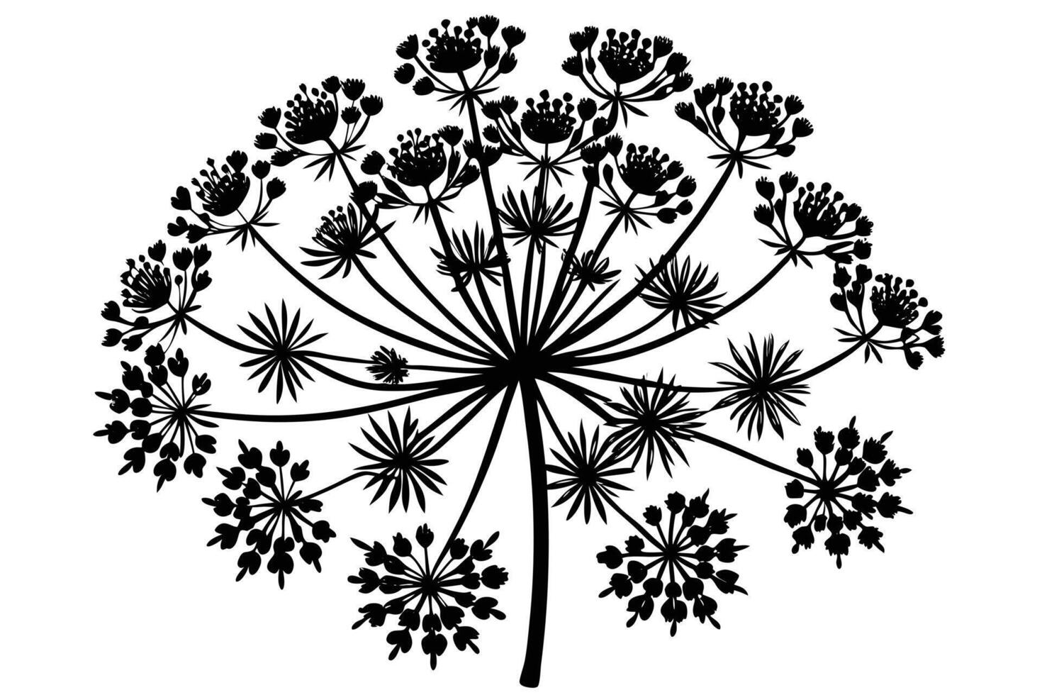 Elegant Black and White Silhouette of a Wildflower vector