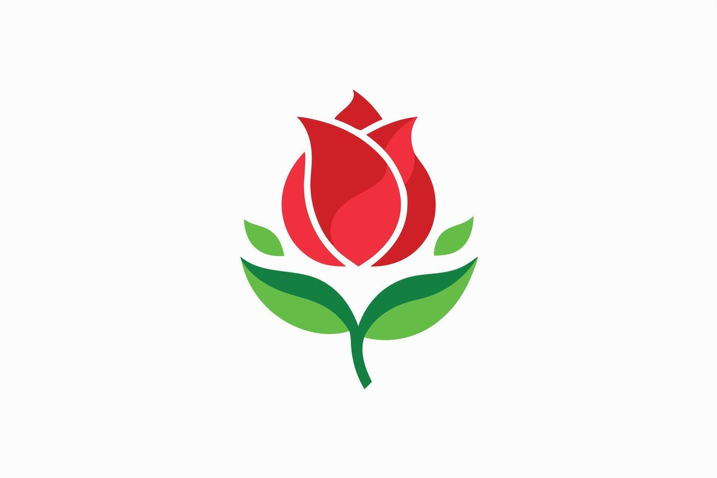 Vibrant red rose blossom, perfect for springtime design projects. vector