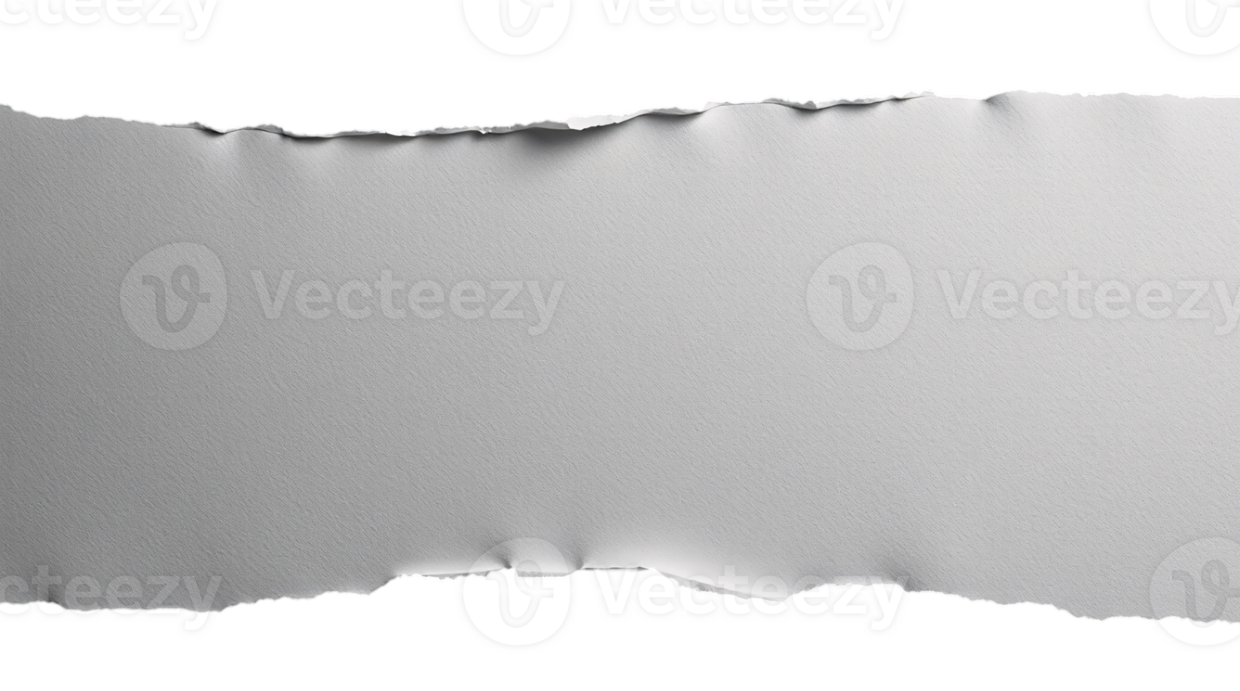 Grey torn edge paper texture. png