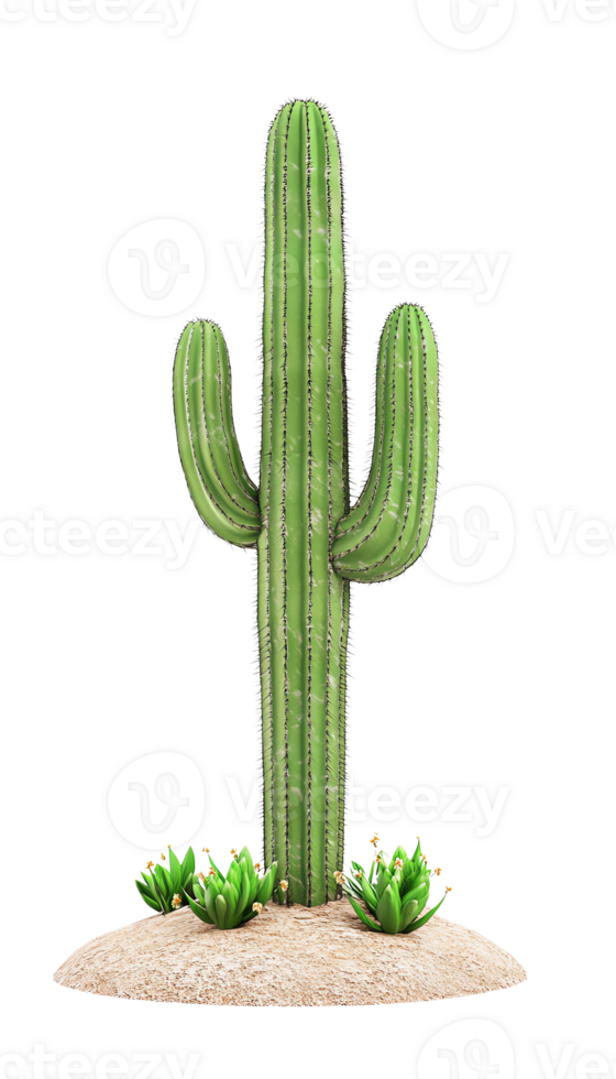 Tall green cactus with multiple arms, surrounded by small plants on a sandy base, isolated png