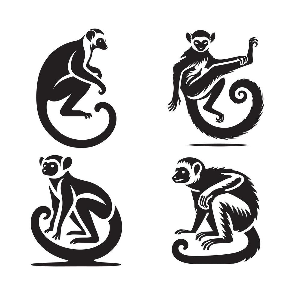 Sifaka Lemur Outline Graphic vector
