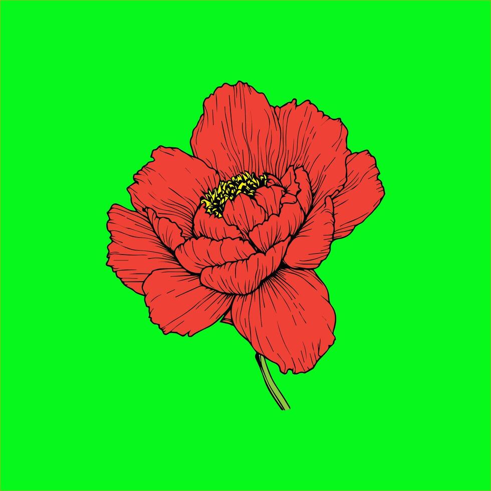 a red flower on a green background without leaves vector