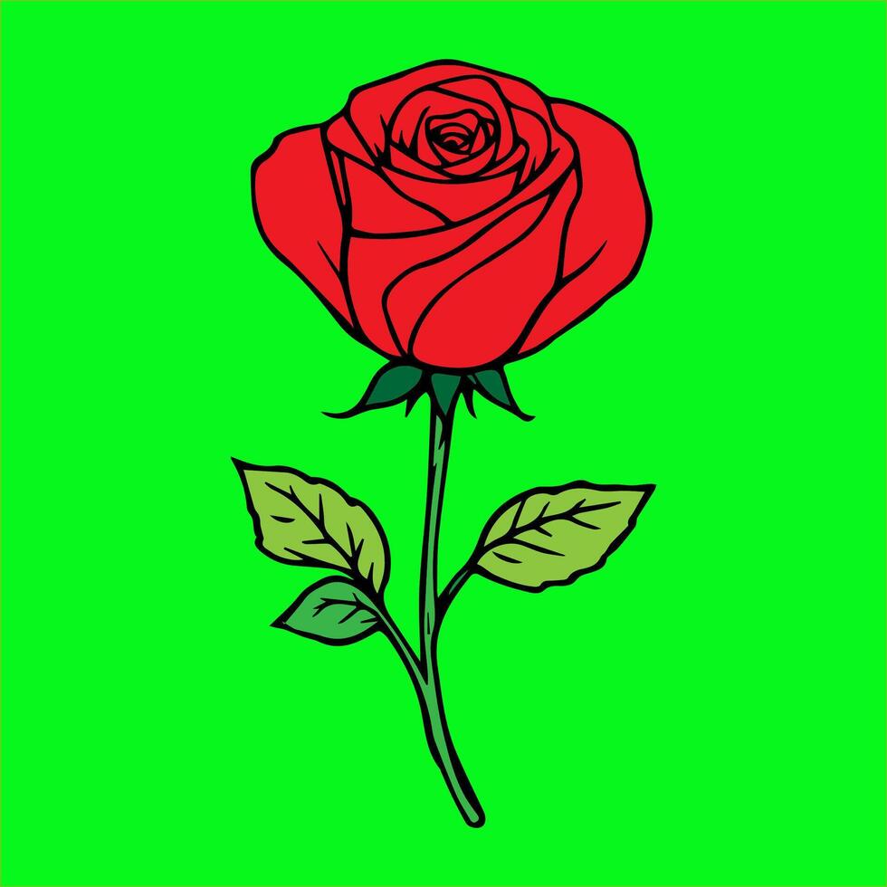 a red rose on a green background vector