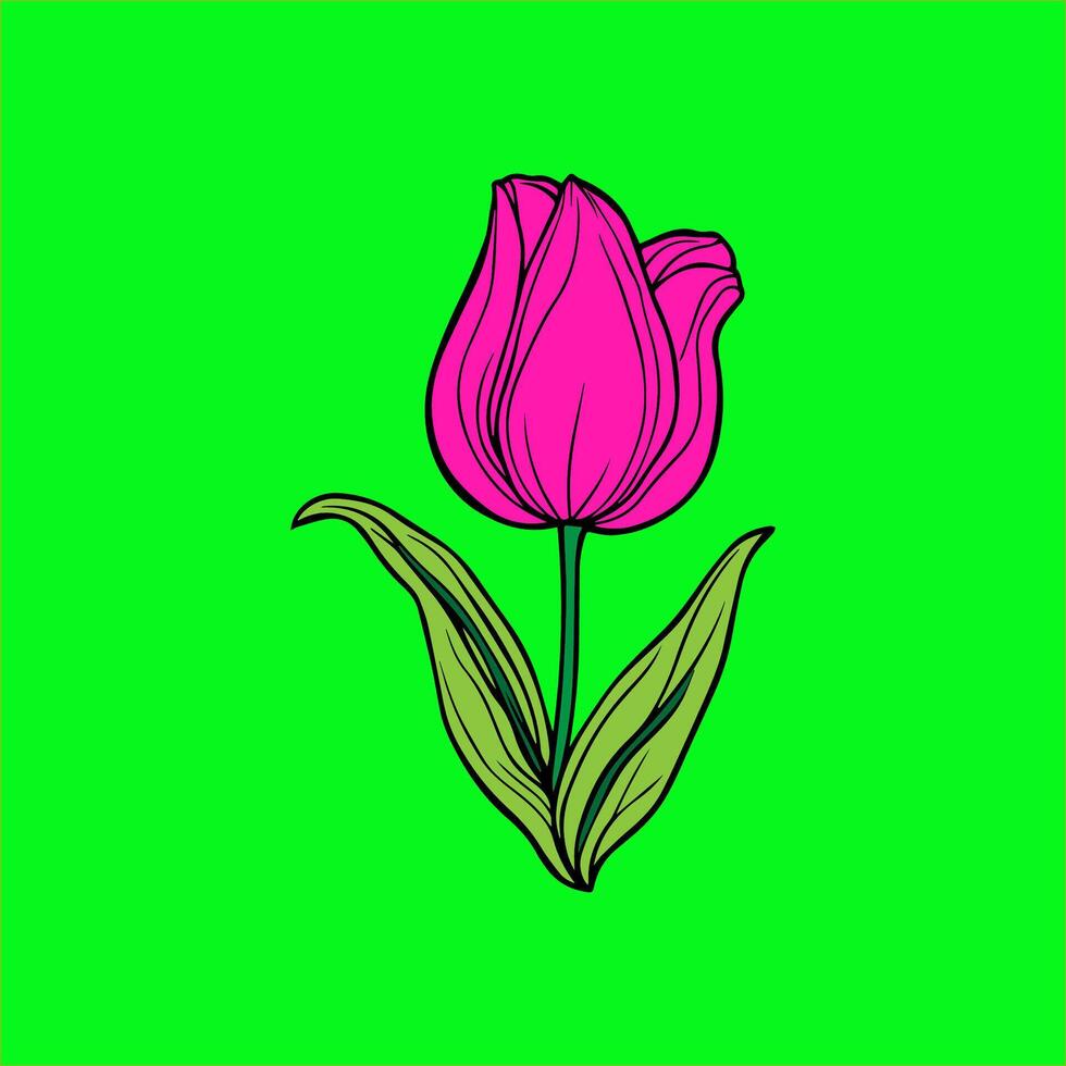 a pink tulip on a green background vector