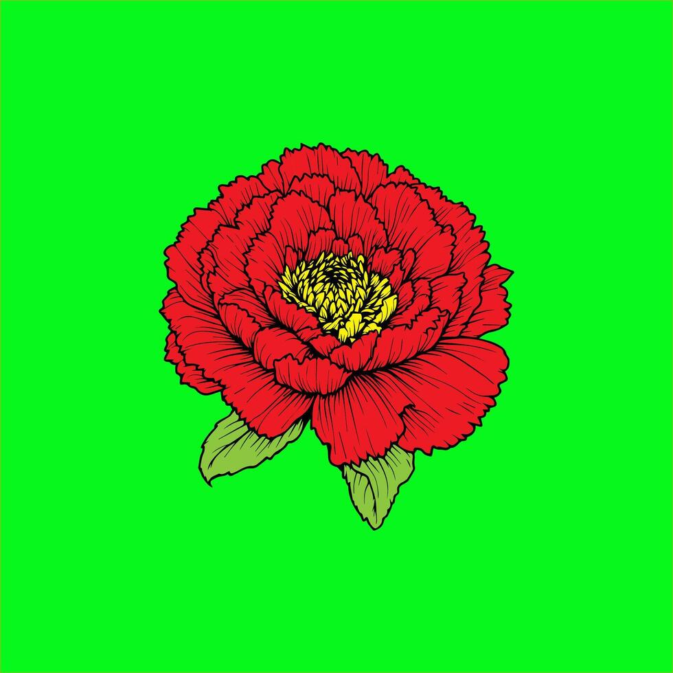 a red flower on a green background vector