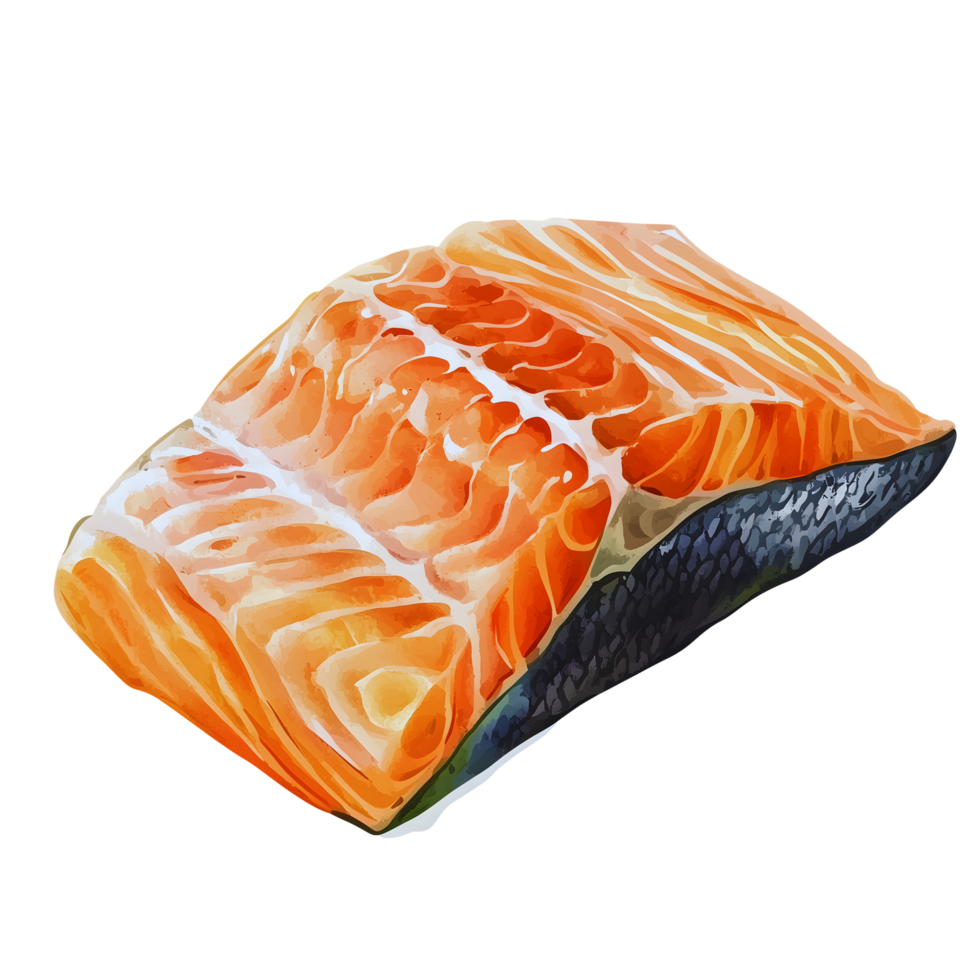 Delicious Salmon Fillet Watercolor Style Food Illustration png