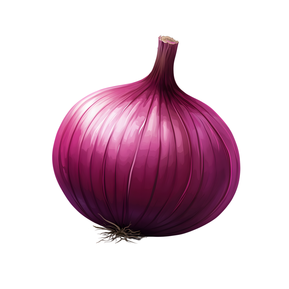 Vivid Red Onion Isolated on Transparent Background DetailRich Design png
