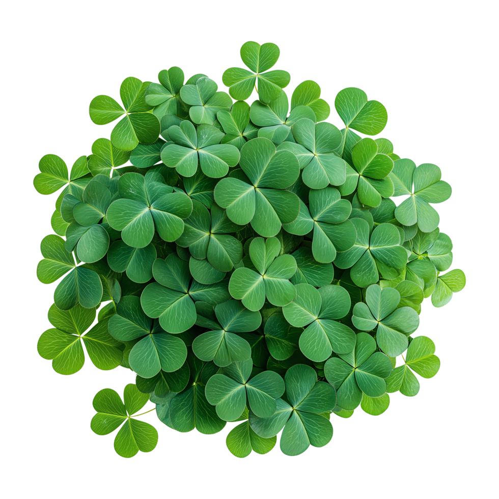 Lush Green Clover Leaf Cluster St. Patrick's Day Design Background png