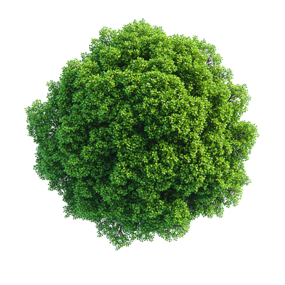 Lush Green Treetop View Aerial Photography of a Round Foliage Canopy png