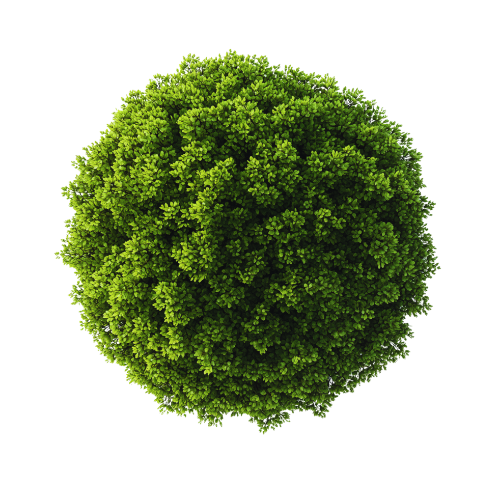 Lush Green Spherical Tree Top View Nature, Ecology, and Design png