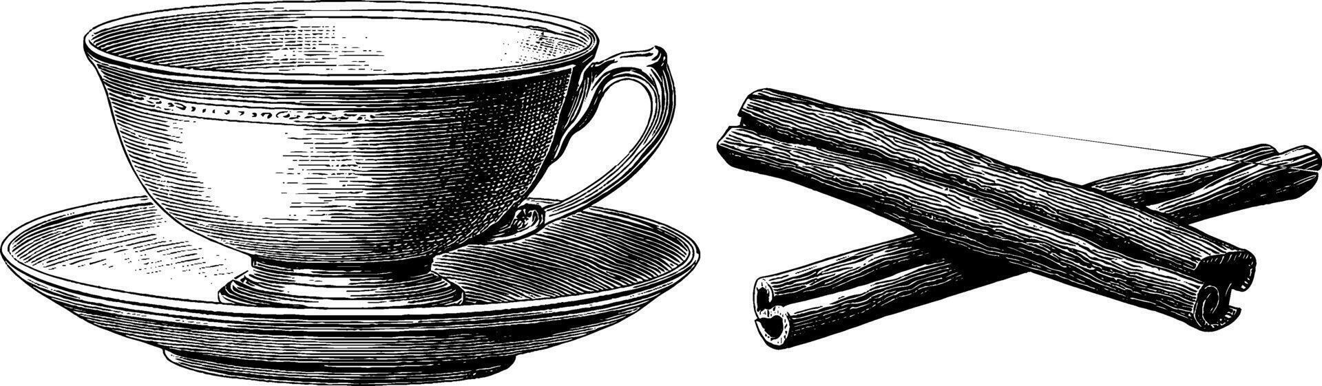 Vintage tea time engraving with teacup and cinnamon sticks for kitchen art. vector