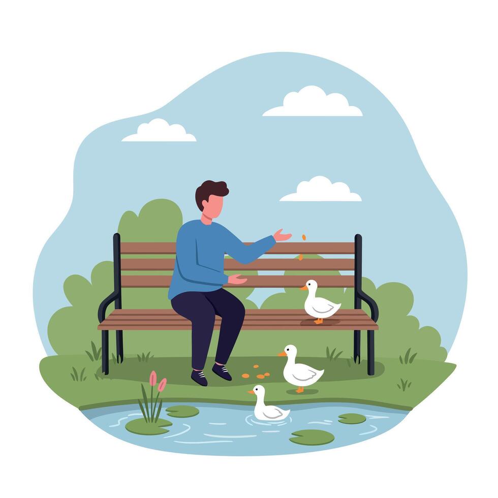 Young man feeding white ducks by pond in peaceful park setting flat design illustration vector