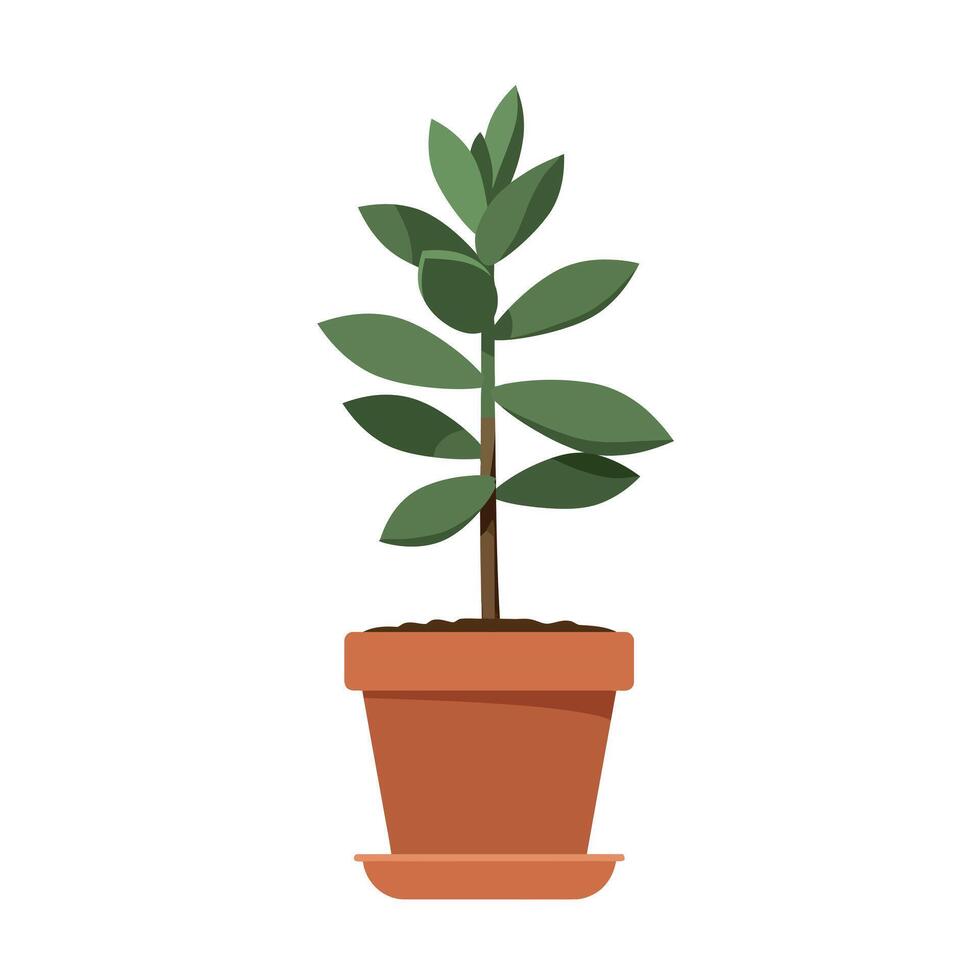 Small green leafy plant in terracotta pot with simple flat design minimal style illustration vector