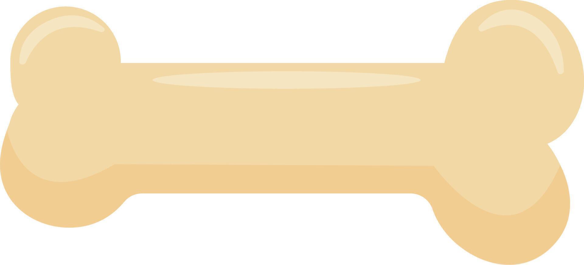 White Archaeological Bone Fragment vector