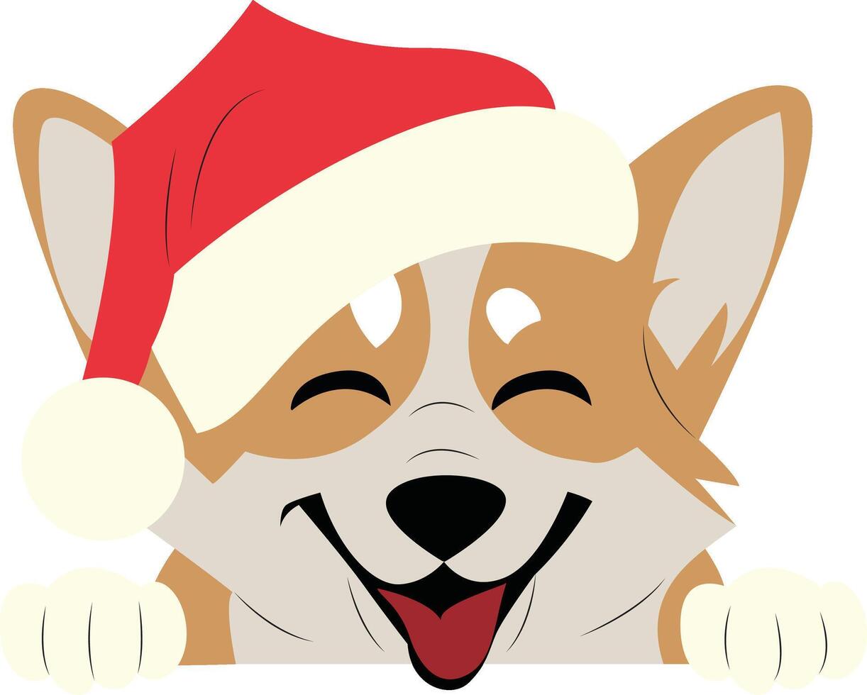 A corgi wearing a santa hat is smiling vector