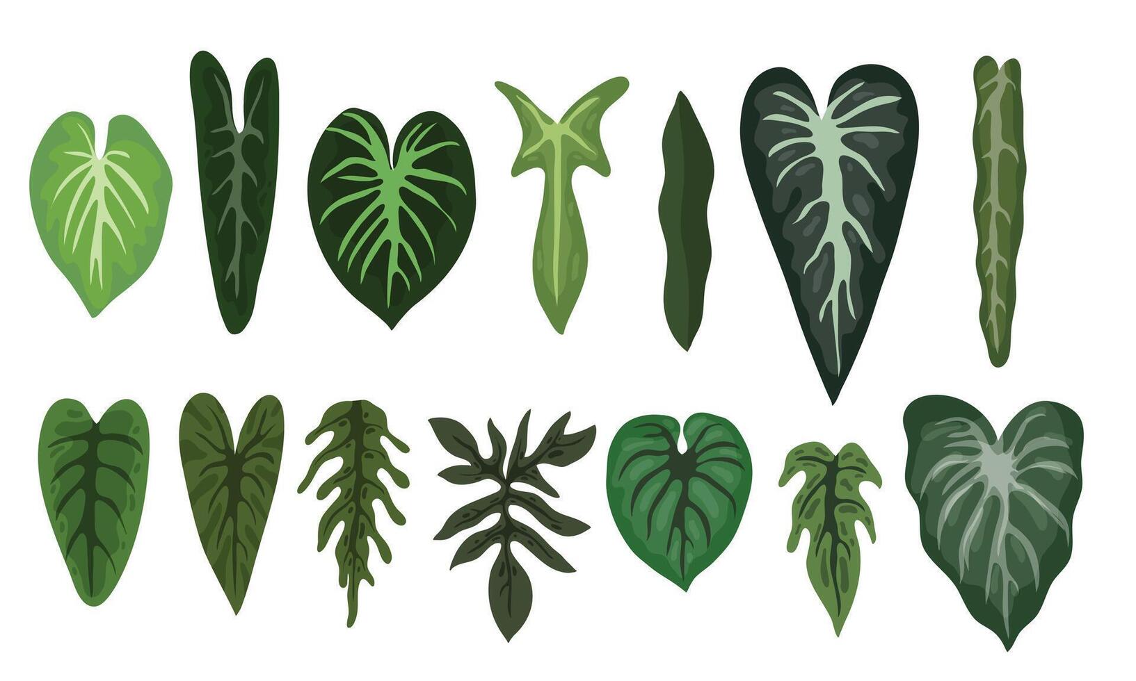 Various types of plants on a white background vector