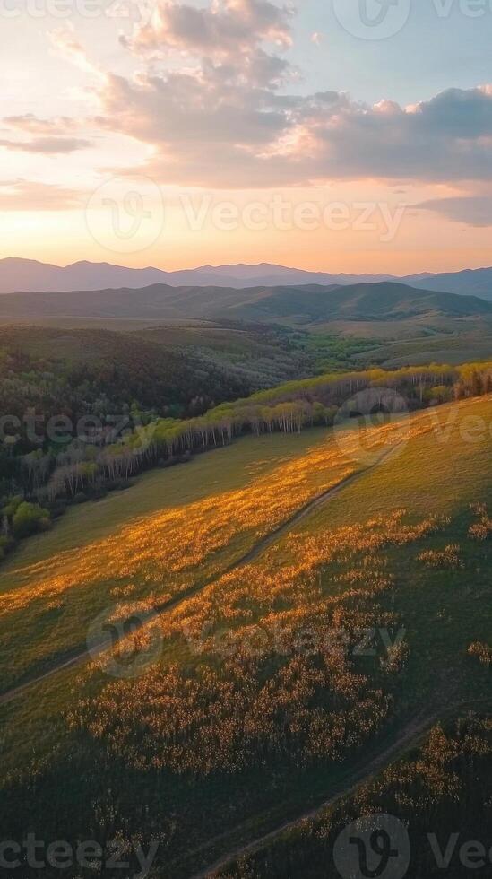 An aerial view of a field at sunset photo
