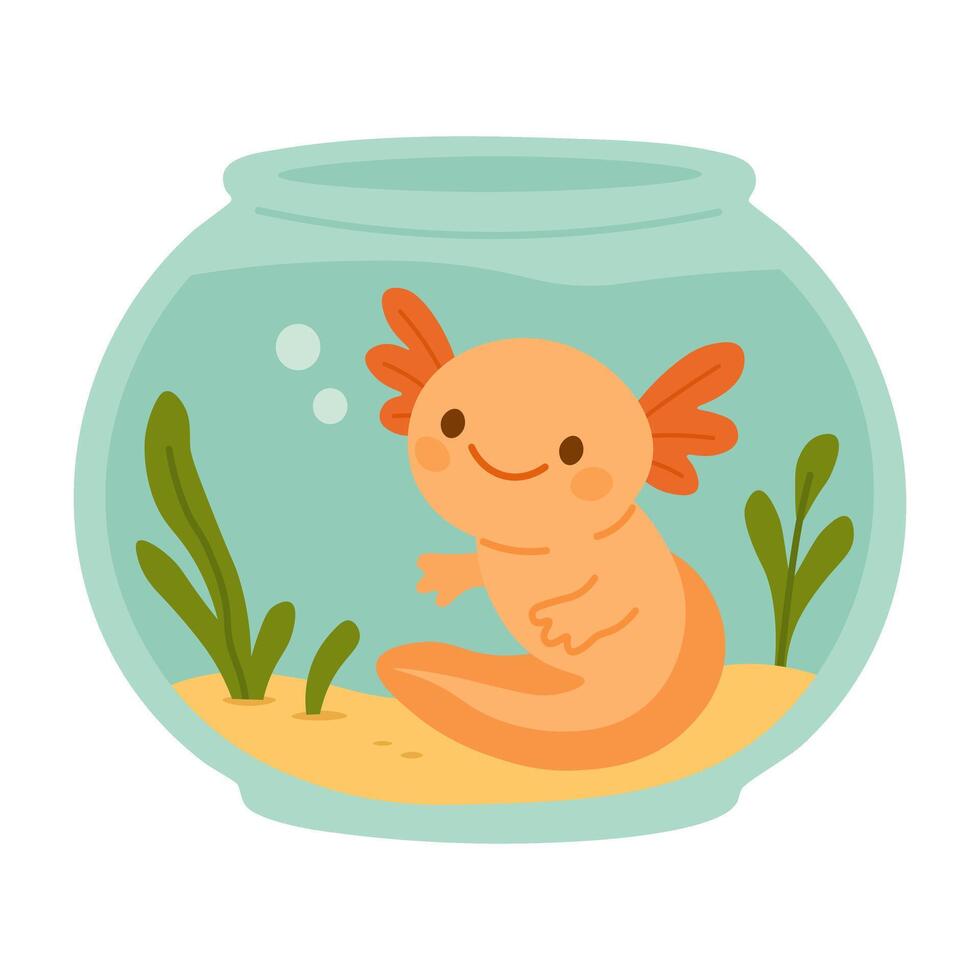 Adorable orange axolotl swimming in a round aquarium with plants, colorful flat cartoon illustration. vector