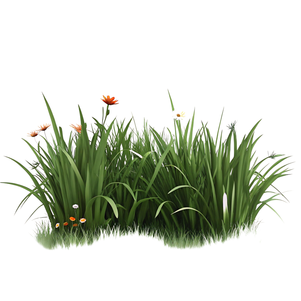 Lush Green Grass with Orange and White Flowers a Vibrant Nature Scene png