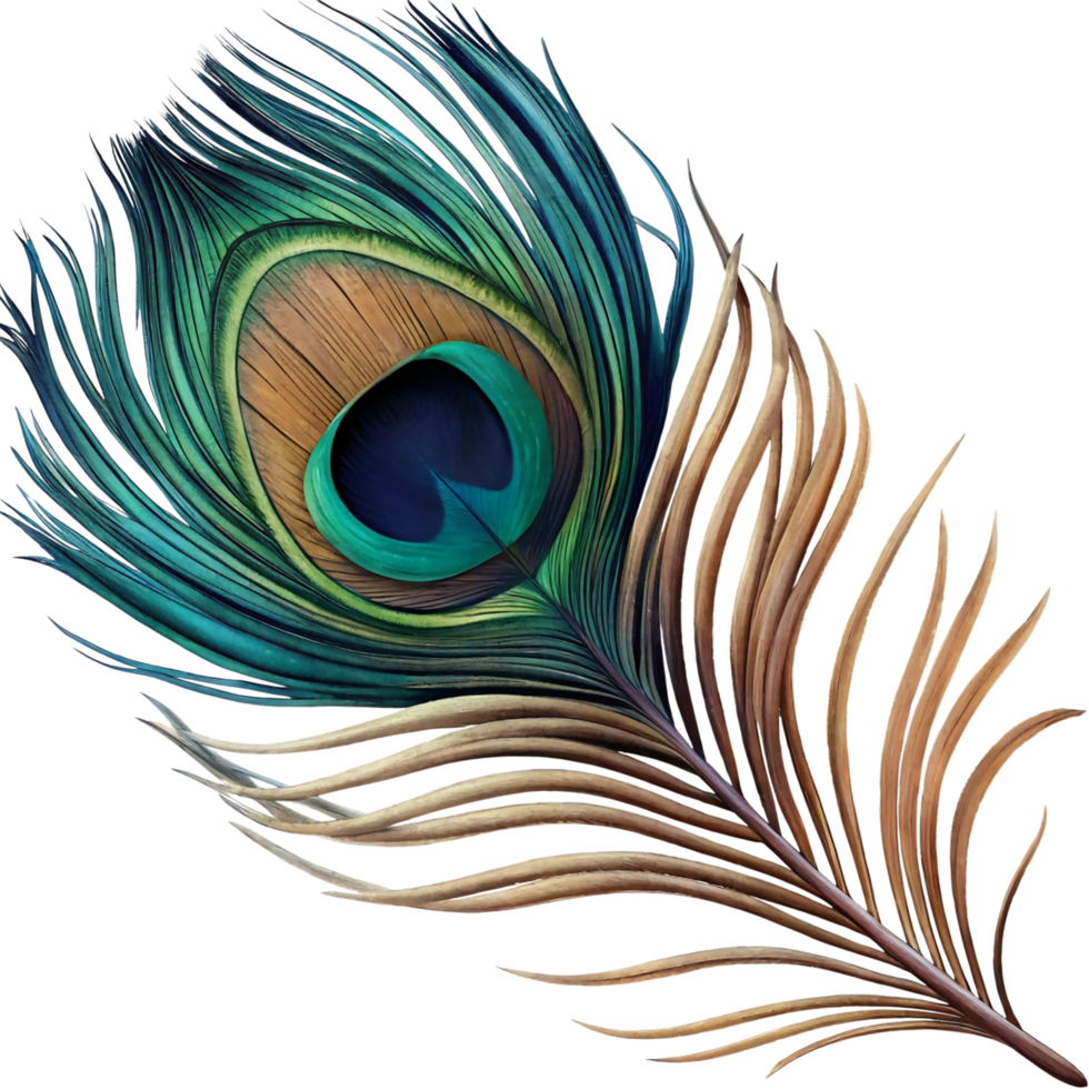 A Stunning Detailed of a Single Peacock Feather with Vibrant Colors and Intricate Patterns png