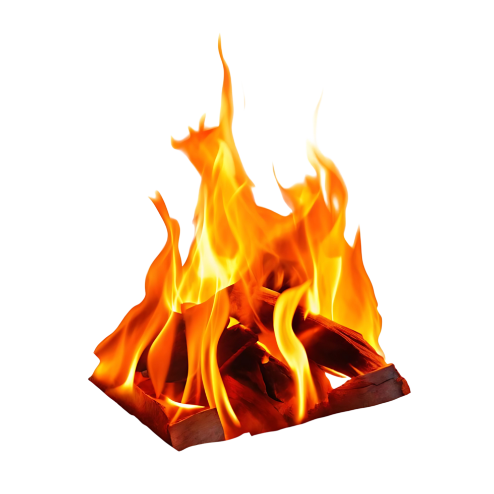 Fiery Bonfire Embers Burning Brightly Against transparent Background A Vivid of Intense Flames and Glowing Wood png