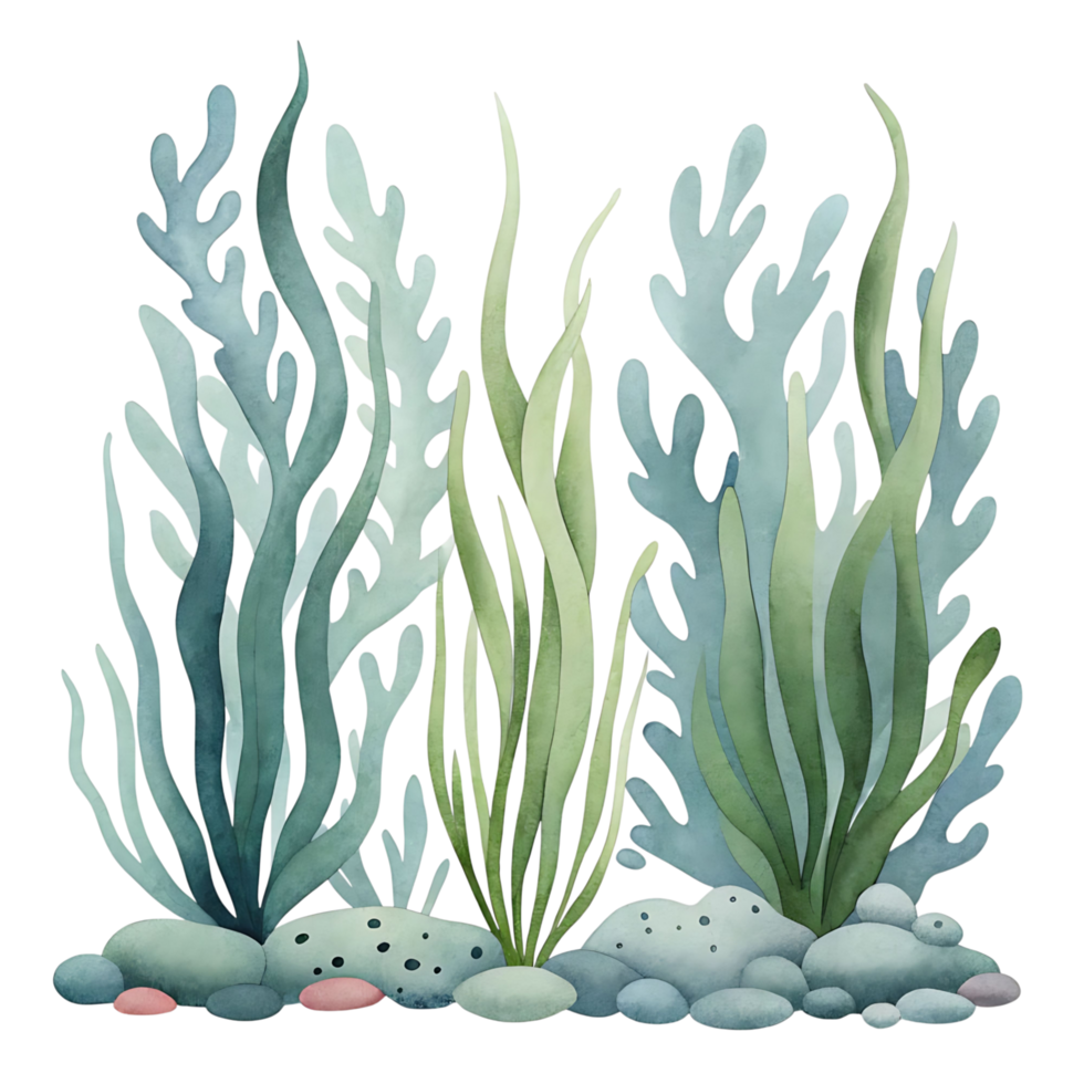 Watercolor painting of underwater sea plants and stones png