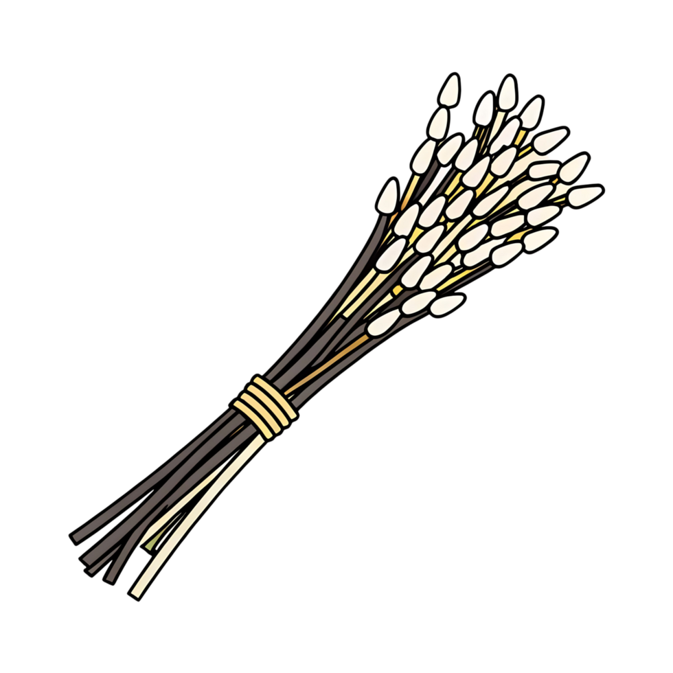 A Bunch of White Cotton Swabs Tied Together with a String a Hygienic Cleaning Tool for Ears or Makeup Application png