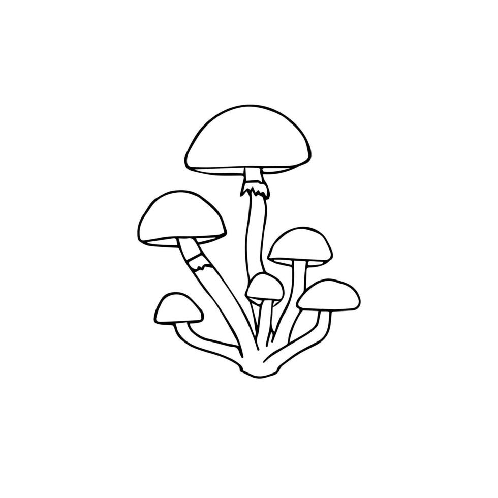 Hand drawn doodle sketch honey mushroom isolated on white background vector