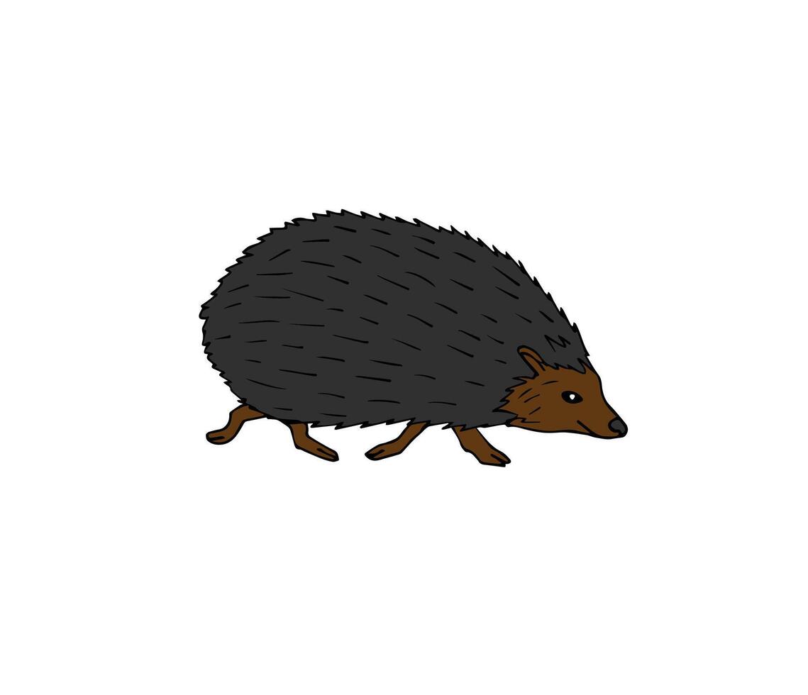 Hand drawn doodle hedgehog isolated on white background vector