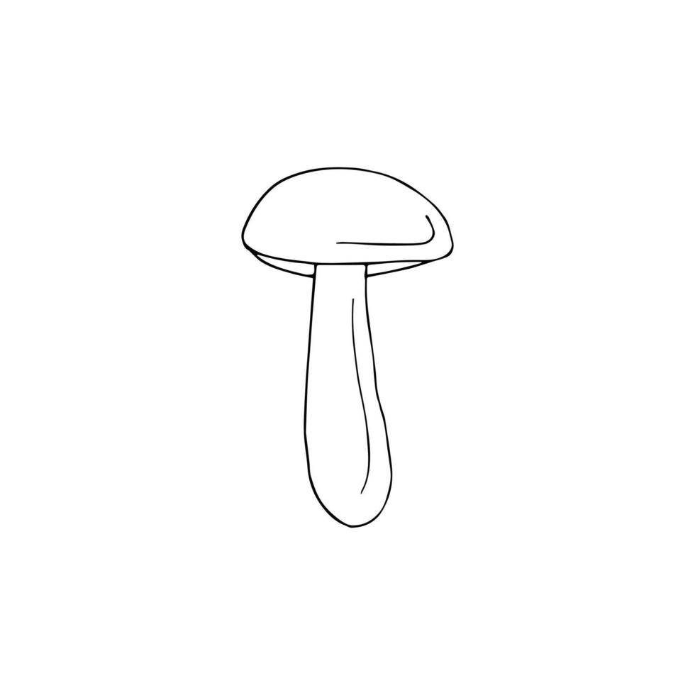 Hand drawn doodle sketch Orange cup boletus isolated on white background vector